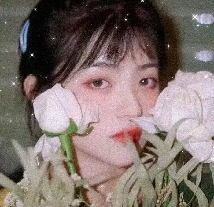 玛丽为了回忆